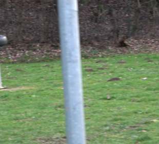 Spielplatz Heiligenbronn