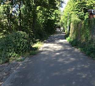 Schaukelweg an der Donau