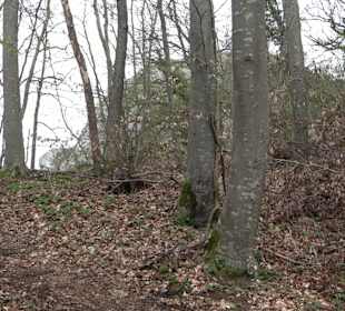 Wanderung rund um das Rusenschloss Gerhausen