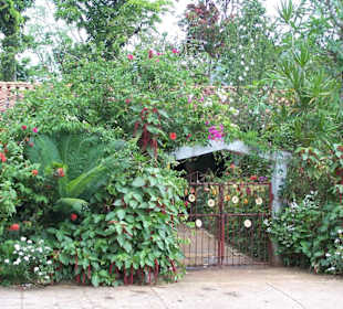 Zahrada