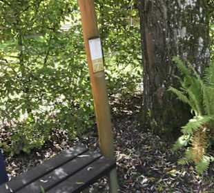 Kneippscher Sinnesgarten
