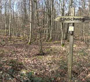 Gomaringer Rundweg - Zu den Giganten im Wald