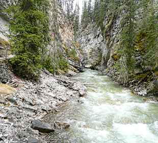 Johnston Canyon