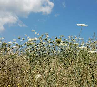 Natur neben dem Hotel