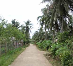 Mitten im Urwald gelegen