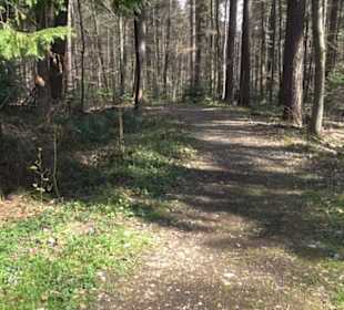 Grafenberger Brünnele