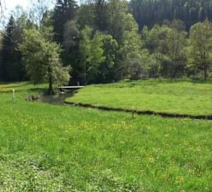 Schloss Ehrenfels