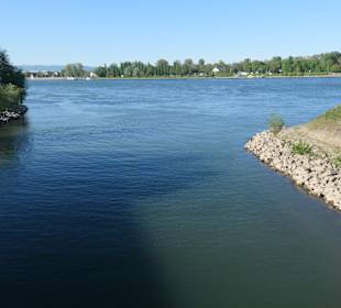 Rheinpromenaden-Bummel in Mainz