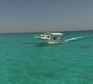 Fahrt zum Schnorcheln