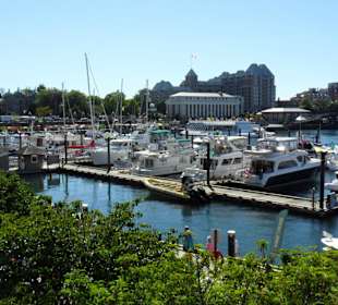 Blick über den Hafen