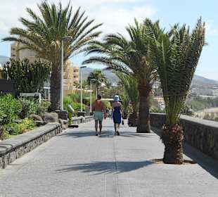 Promenade le long de la plage
