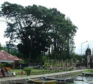 Fischerboote am Tempel Bratan