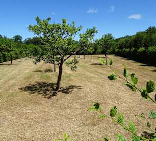 Rundgang durch den Kanalgarten der Eremitage