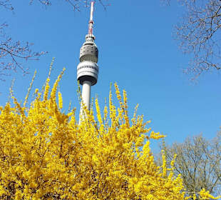 Frühling im Westfalenpark Dortmund