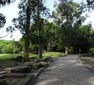 Spaziergang durch den Parque da Cicade