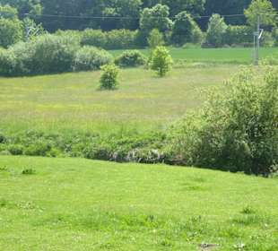 Rundwanderung Petersberg