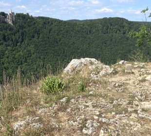 Tour entlang der Traifelbergfelsen