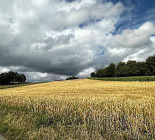 Wandern Waldmünchen