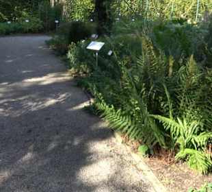 Botanischer Garten München