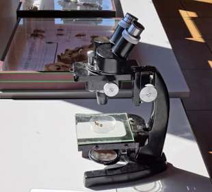 Forschung und Ausstellung im Jardin Méditerranéen