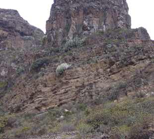 Felsformation am unteren Ende 