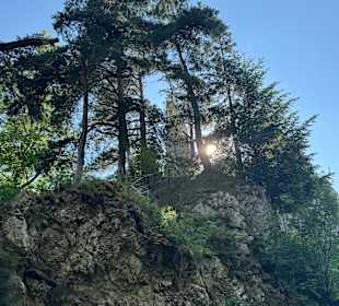 Burgruine Weissenstein
