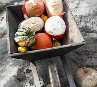 Kürbisausstellung Ludwigsburg