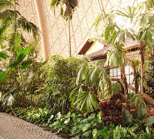 Tropischer Wanderweg