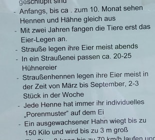 Infoblatt