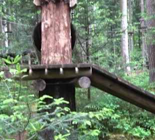 Hochseilgarten Hallwangen