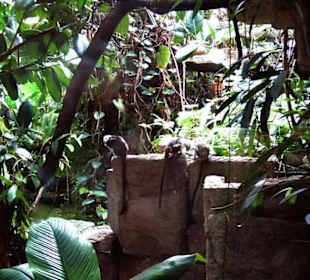 Tierpark Bochum - Impressionen