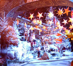 Europapark / Winteröffnung