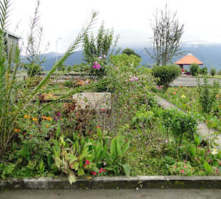 Ausflug Wildfife Expeditions- Rastplatz