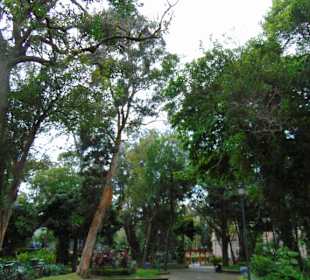 Stadtrundgang San José