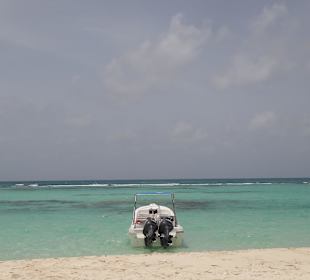 Saona