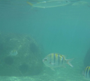 Direkt vor den Trögen