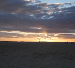 Auf Kamelen dem Sonnenuntergang entgegen