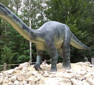 Dinosaurier Museum Altmühltal