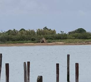 Das Naturschutzgebiet