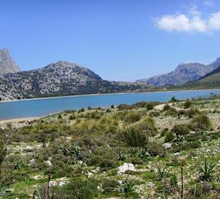 Cuber Stausee