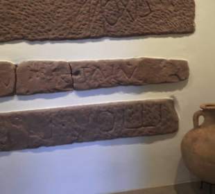 Museum für Vor- und Frühgeschichte