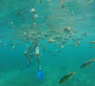 Schnorcheln in der "Blauen Lagune"