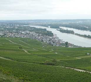 Blick vom Niederwalddenkmal zum Rhein