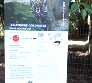 Zoo Heidelberg