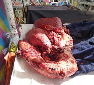 Ohne Kühlung, ohne Worte