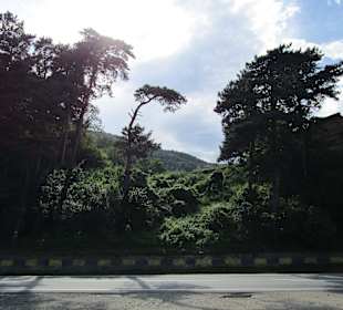 Valea Oltului / Olt-Tal 