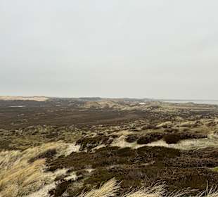 Wandern List auf Sylt