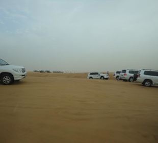 Wüstensafari