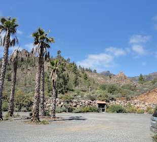 Bodega Las Tirajanas