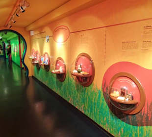 Abteilung "Reise in den menschlichen Körper"